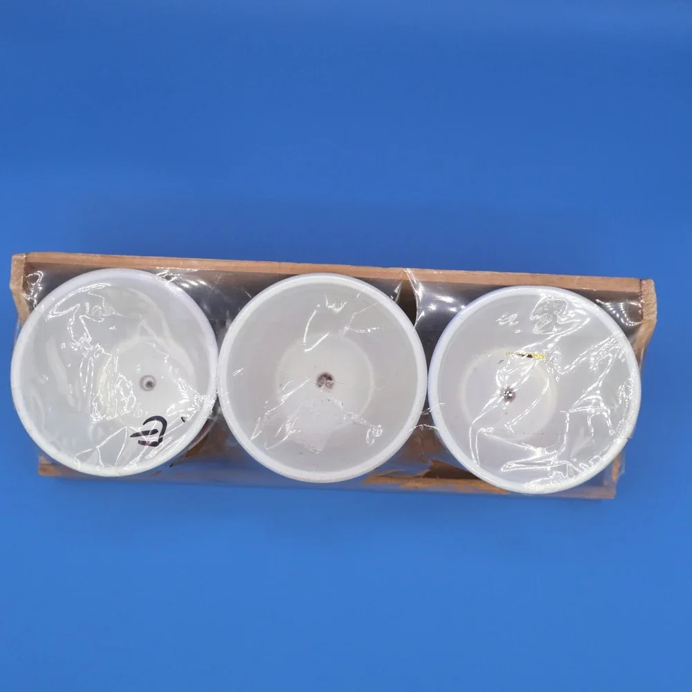 Set of 3 Ceramic Planters Pots Decorative Fish Design with Wooden Tray
